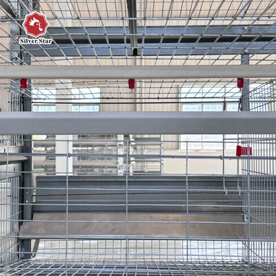 High-Density H-Type Automatic Layer Battery Cages | 3-8 Tiers Turnkey Poultry Farm Equipment