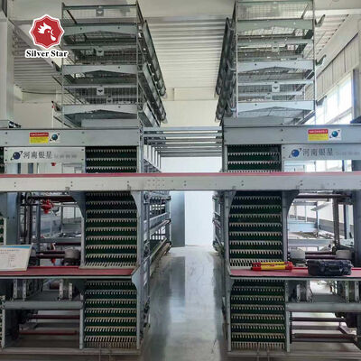 H-Type Automatic Layer Battery Cage System with Hot-Dip Galvanized Steel for Automated Egg Collection and 15-20 Years Service Life