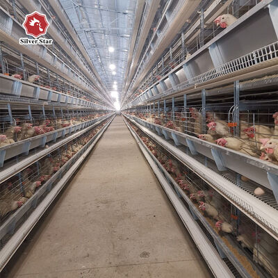 Automatic H Type Chicken Layer Cage 4 Tier 72 Birds Hot Dip Galvanized Steel Poultry Farming Equipment