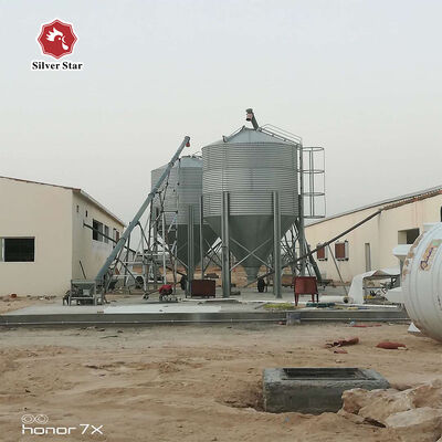 Automatic H Type Chicken Layer Cage 4 Tier 72 Birds Hot Dip Galvanized Steel Poultry Farming Equipment