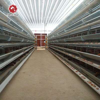 Automated H Frame Egg Production Cage Industrial Anti-corrosion Durable Material Long Service Life Poultry Farming Equipment