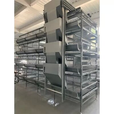 Automated H Frame Egg Production Cage Industrial Anti-corrosion Durable Material Long Service Life Poultry Farming Equipment