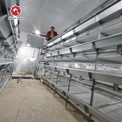 Hot-dip Galvanized Steel H Type Broiler Chicken Cage with Modular Automatic System and Adjustable Breeding Tiers