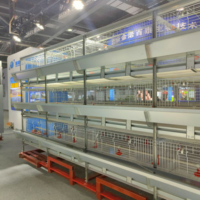 Automated H-Type Broiler Cage System Hot-Dip Galvanized High-Density Commercial Poultry Farming Equipment