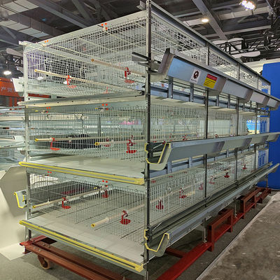 Industrial Automated H-Type Broiler Battery Cage System | Premium Commercial Poultry Rearing Machinery