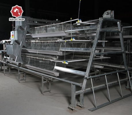 380V Broiler Automatic Feeder , 500KGS Hot Dip Galvanized Chicken Cage Equipment