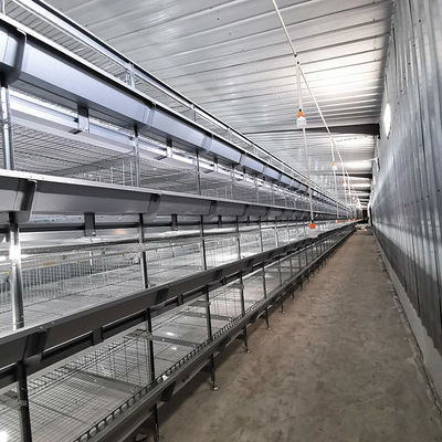Fully Automatic Hot-Dip Galvanized H-Type Broiler Chicken Cage for High-Density Poultry Farming