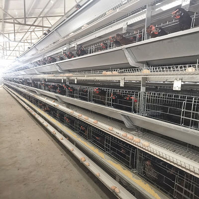 Chicken Closed House Battery Cage System Automatic Poultry Equipment in Tanzania