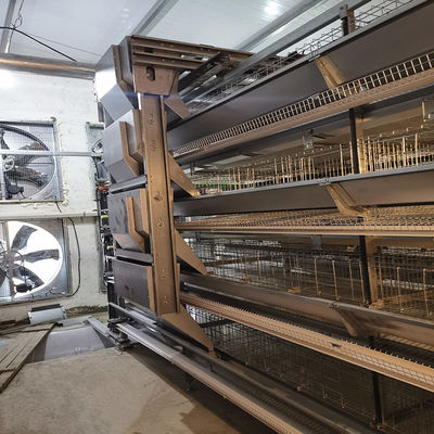 H-Type Automatic Battery Cage System with Hot Dip Galvanizing and Stackable Modular Design for Commercial Egg Layer Farms