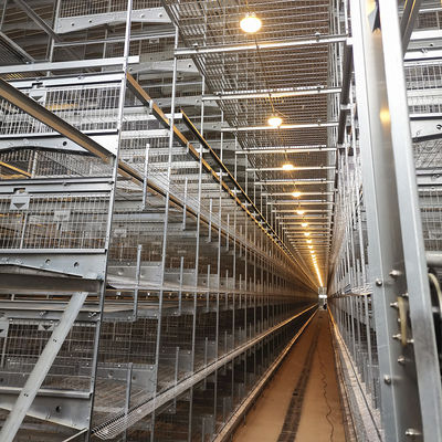 30000 Chicken Egg Layer Cages