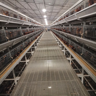 4Tier Chicken Layer Battery Cage Poultry Farming , 192 Birds SGS Poultry Farming Equipment