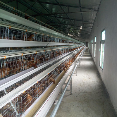 3 Tier Layer Egg Chicken Cage