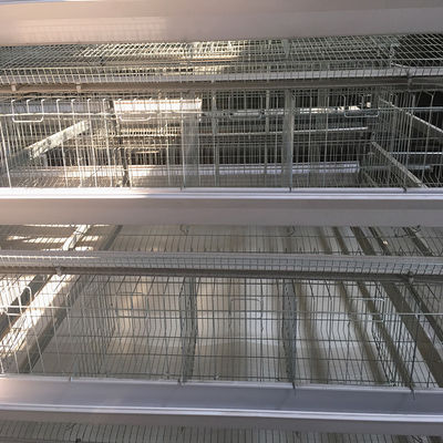430x450x410mm 3 Tier Layer Cage , Soncap Layer Farming Equipment