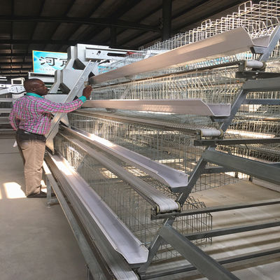 20000 Birds Layer Poultry Equipment , SGS 3mm A Frame Layer Cages
