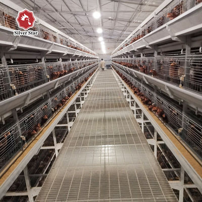 SGS 30000 Birds H Type Layer Chicken Cage Battery System Q235A Steel Material