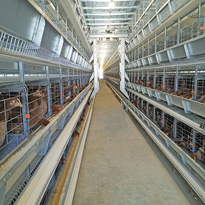 Hot-Dip Galvanized H-Type Layer Cage System Fully Automatic Poultry Farming Equipment with 15–20 Year Lifespan