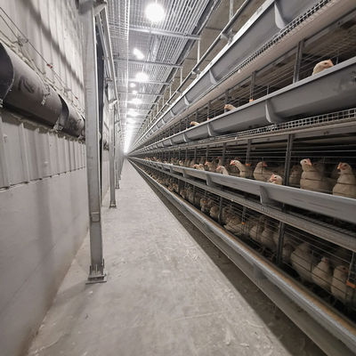 Hot-Dip Galvanized H-Type Layer Cage System Fully Automatic Poultry Farming Equipment with 15–20 Year Lifespan