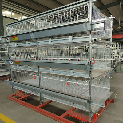 Anti Rust HDG H Type Layer Broiler Chicken Cage 16-20 Broilers/Cage