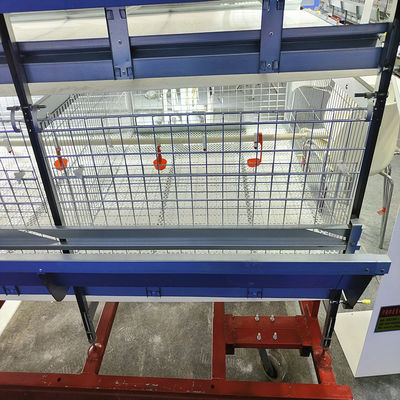 Low Noise H Type Battery Cage For Broilers With Automatic Feeding System