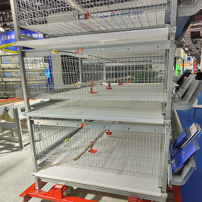 Modern Poultry Battery Cage , SGS 3/4 Floors 150 Broiler Chicken Farming Equipment