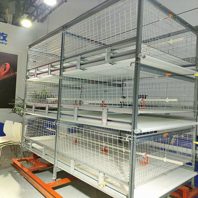 Galvanized 380V 120/150 Broiler Chicken Cage For Poultry SGS Certificated