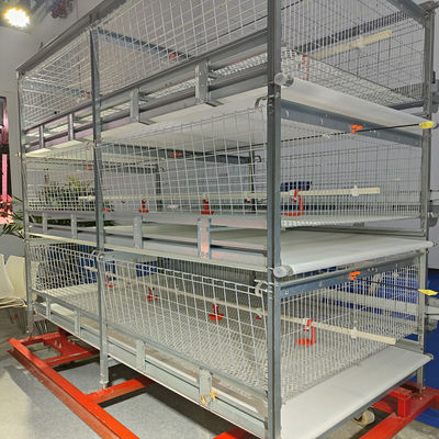 90/120 Broiler Battery Cage System , H Frame Q235A Broiler Farm Equipment