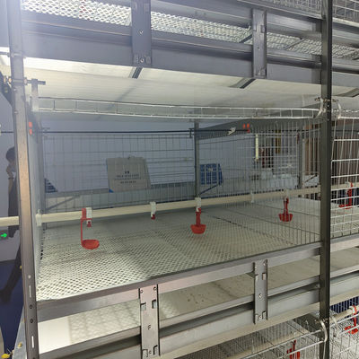 Automatic Q235A H Type Broiler Chicken Cage 150x100x44cm Size