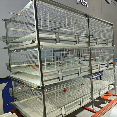 HDG 4 Tier Poultry Farming Equipment For Broilers Products 200birds/Cage
