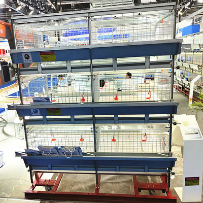Automated H-Type Broiler Cage System Hot-Dip Galvanized Full Automatic High-Density Poultry Farming Equipment