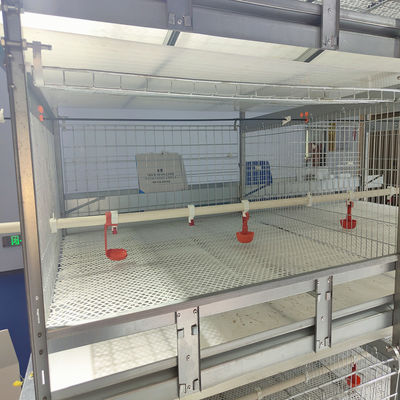 Automated H-Type Broiler Cage System with Hot-Dip Galvanized Steel for High-Density Poultry Farming