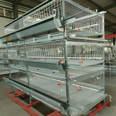 Hot-dip Galvanized Steel H Type Broiler Chicken Cage with Modular Automatic System and Adjustable Breeding Tiers