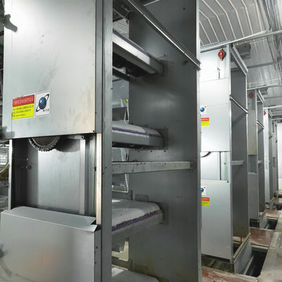 Automated H-Type Broiler Cage System with Hot-Dip Galvanized Steel for High-Density Poultry Farming