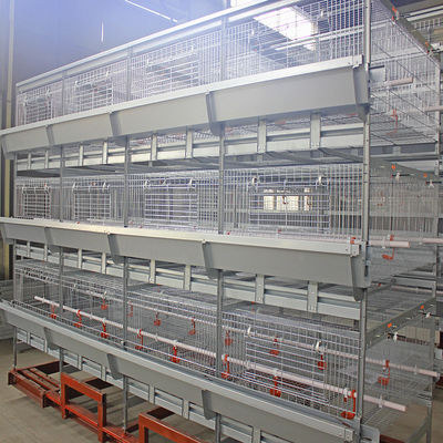 Hot-dip Galvanized Steel H Type Broiler Chicken Cage with Modular Automatic System and Adjustable Breeding Tiers