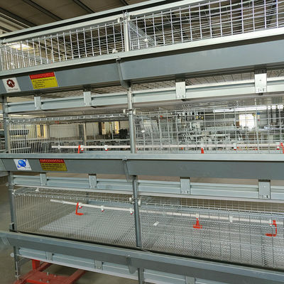 Automated H-Type Broiler Cage System - High-Density Hot-Dip Galvanized Poultry Farming Equipment