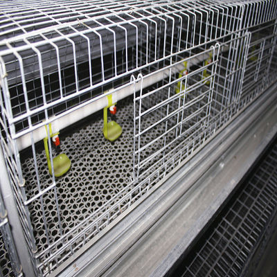 60 Days Baby Chicken Galvanized Multi Poultry Broiler Cage Chicken Raising