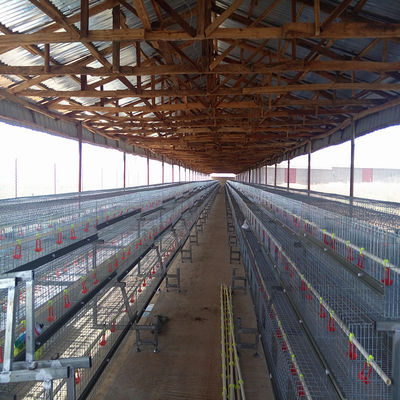 Galvanized Broody Chicken Cage , 3 Or 4 Floors Chicken Raising Equipment