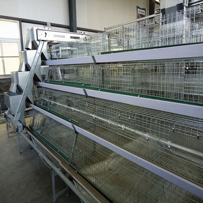 A-Type Broiler Battery Cage System for Poultry Farm Hot-Dip Galvanized A-Type Broiler Cage Manufacturer
