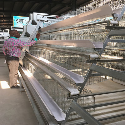 90-160Birds A Type Chicken Cage , Q235 Steel Layer Farming Equipment