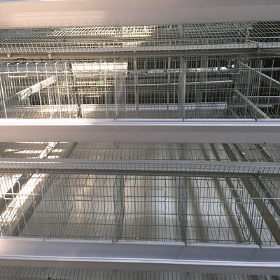 Galvanized Steel Smart Mini Poultry Cage System 3birds/Door 5doors