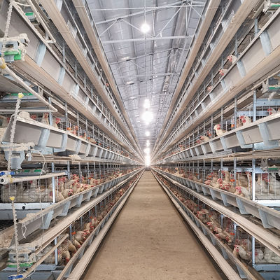 3-8 Tiers Enclosed Chicken Laying Eggs Cage , SGS Automated Battery Cage System For Layers