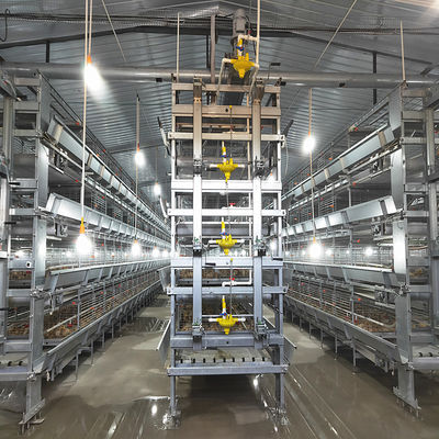 ISO9001 Poultry Cage