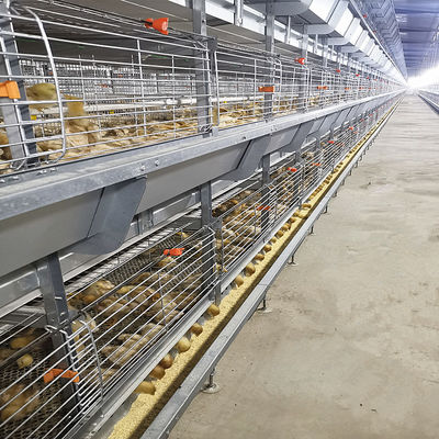 Fully Automatic Hot-Dip Galvanized H-Type Broiler Chicken Cage for High-Density Poultry Farming