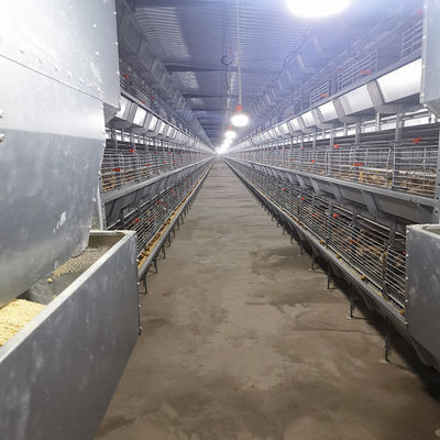 60-144 Broiler Poultry Equipment , ISO9001 Wire Bird Breeding Cages