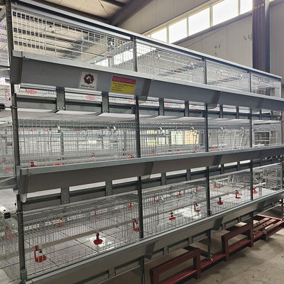 60-144 Broiler Poultry Equipment , ISO9001 Wire Bird Breeding Cages