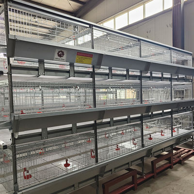 Battery 192 Birds Layer Hen Cage , SGS W1200mm Broiler Poultry Equipment