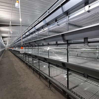 Battery 192 Birds Layer Hen Cage , SGS W1200mm Broiler Poultry Equipment