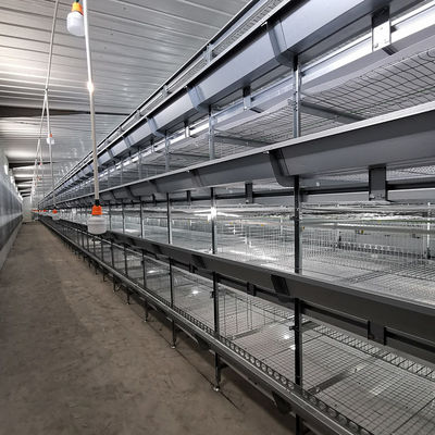 H Type Meat Chicken4Rows 50000 Hen Layer Chicken Cage Battery System 240 Birds / Cage H Frame