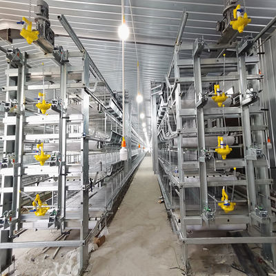 Q235 Steel Broiler Cage System , 108-144 Birds 4 Tier Layer Cage