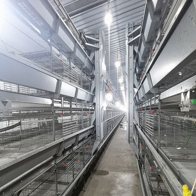 Q235 Steel Broiler Cage System , 108-144 Birds 4 Tier Layer Cage