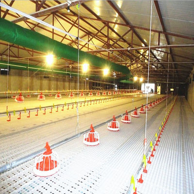 380v 3phase Chicken Raising Equipment , ISO9001 Chicken Battery Cage